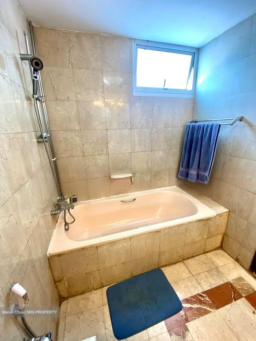 Parkshore (D15), Condominium #462688201